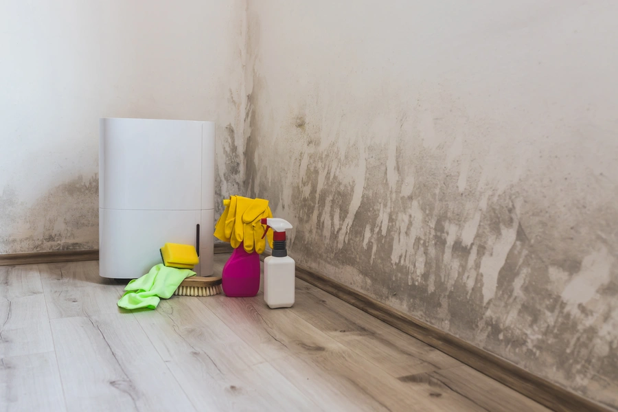 How Mold Removal Helps Prevent Recurring Mold Issues Columbus, NJ