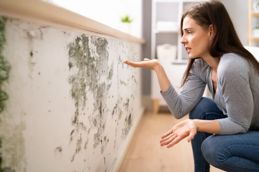 How Mold Removal Helps Prevent Recurring Mold Issues in Columbus, NJ