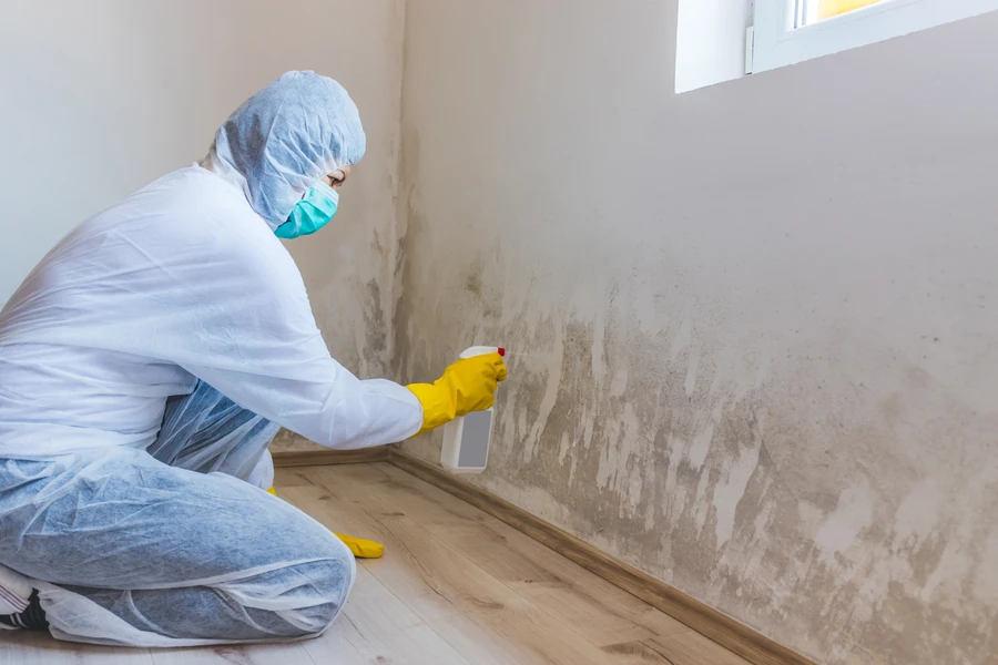 Superior Mold Remediation Columbus, NJ Superior Mold Remediation Columbus, NJ