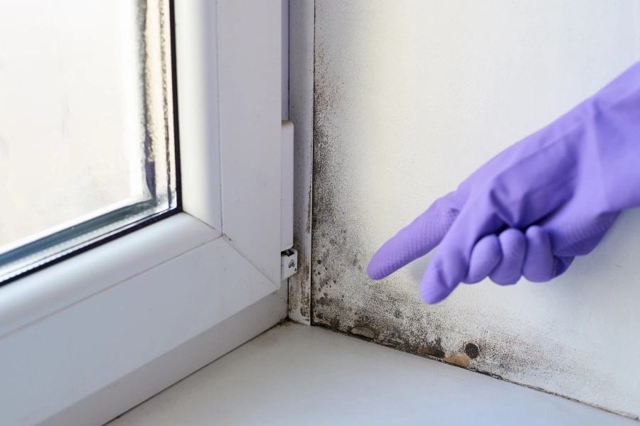 The Role Of Mold Inspection In Protecting Your Property Value Columbus, NJ The Role Of Mold Inspection In Protecting Your Property Value Columbus, NJ