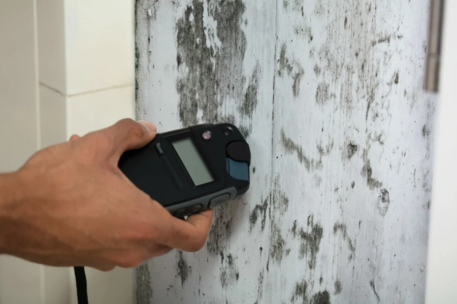Top-rated Mold Testing Columbus, NJ Top-rated Mold Testing Columbus, NJ